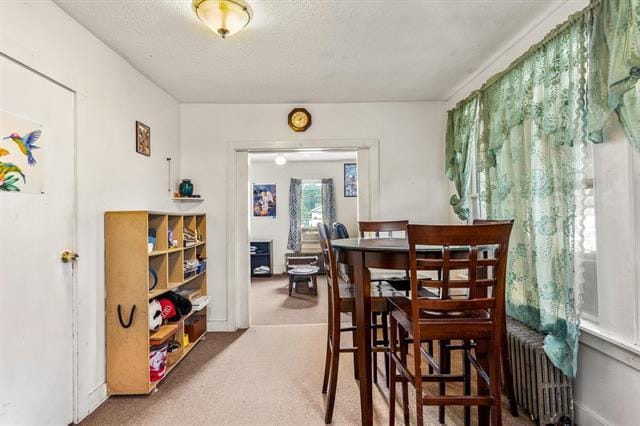 More Photos Of 11 Cleveland St, Rochester Apartments For Sale