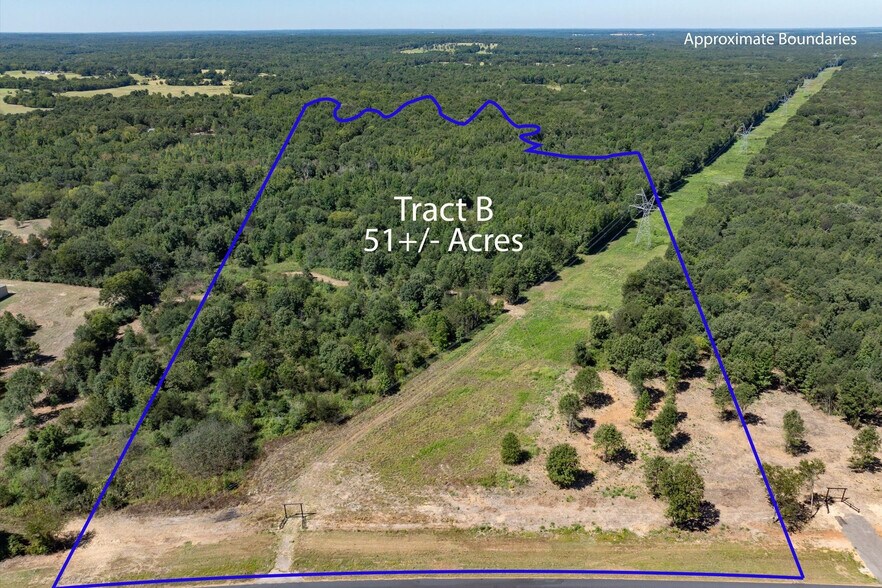 Primary Photo Of Tract B Hwy 69 hwy, Mineola Land For Sale