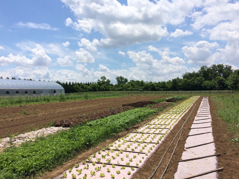 More Photos Of 5996 Augustine Herman Hwy, Cecilton Land For Lease