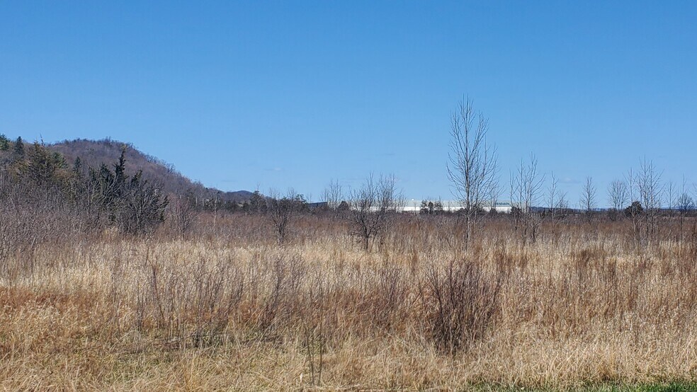 More Photos Of Old Plank Rd, Coxsackie Land For Sale