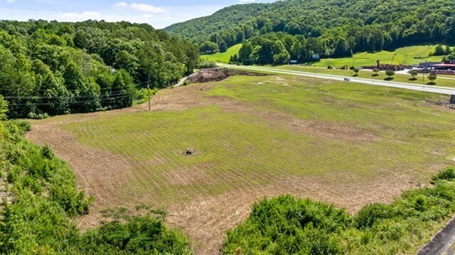 More Photos Of 0 Appalachian Hwy 515, Blue Ridge Land For Sale