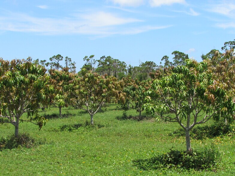 More Photos Of 9000 Stringfellow Rd, Saint James City Land For Sale