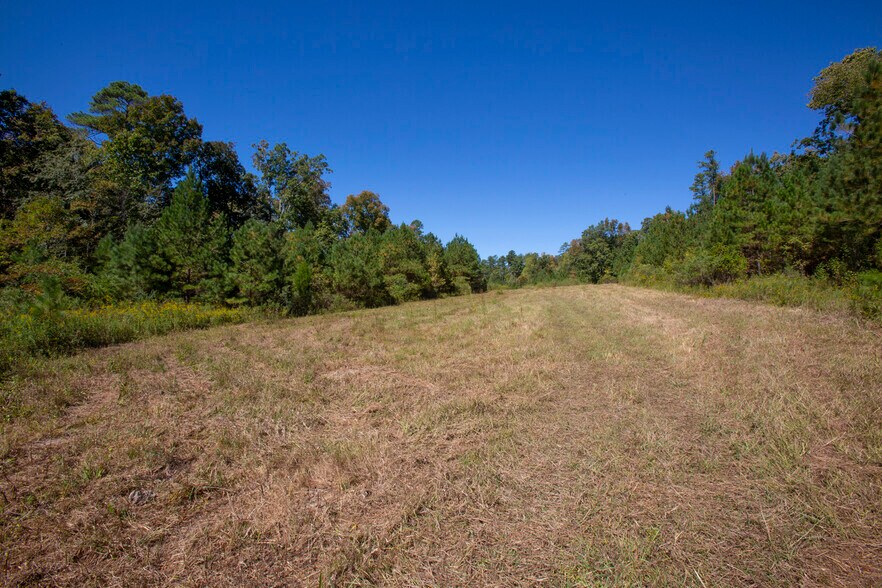 More Photos Of Walter Bright Road & 15-501, Sanford Land For Sale