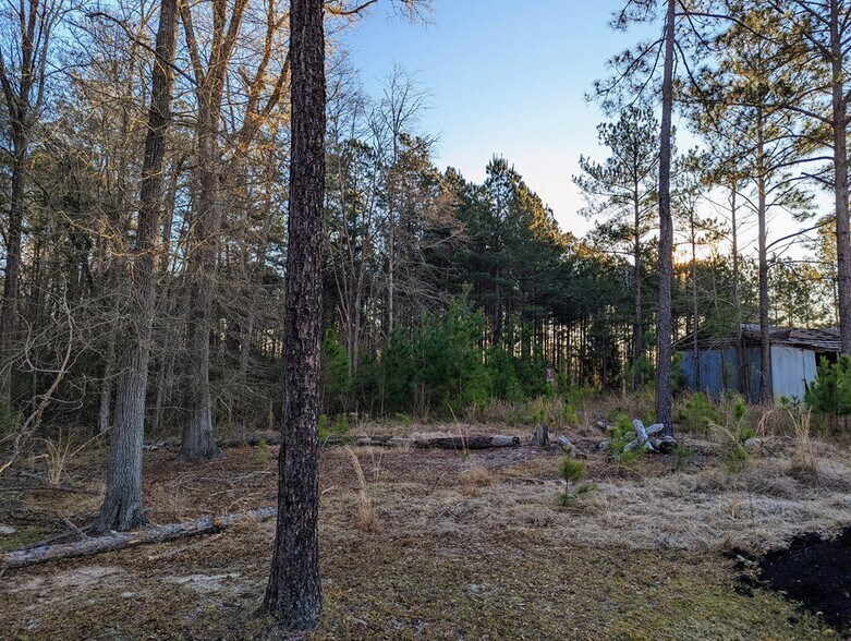 More Photos Of Highway 280 & Highway, Abbeville Land For Sale