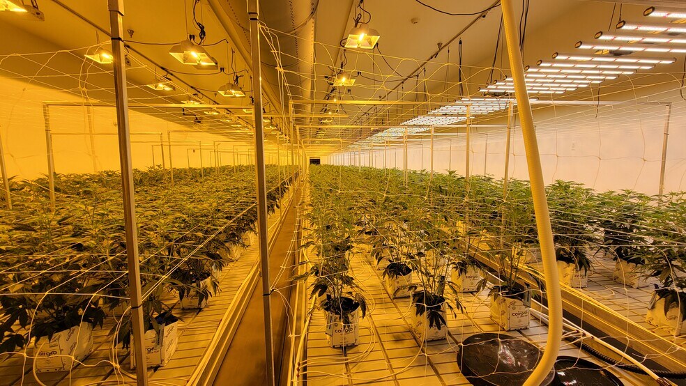 More Photos Of 515 Hammontree Dr, Morenci Industrial For Sale