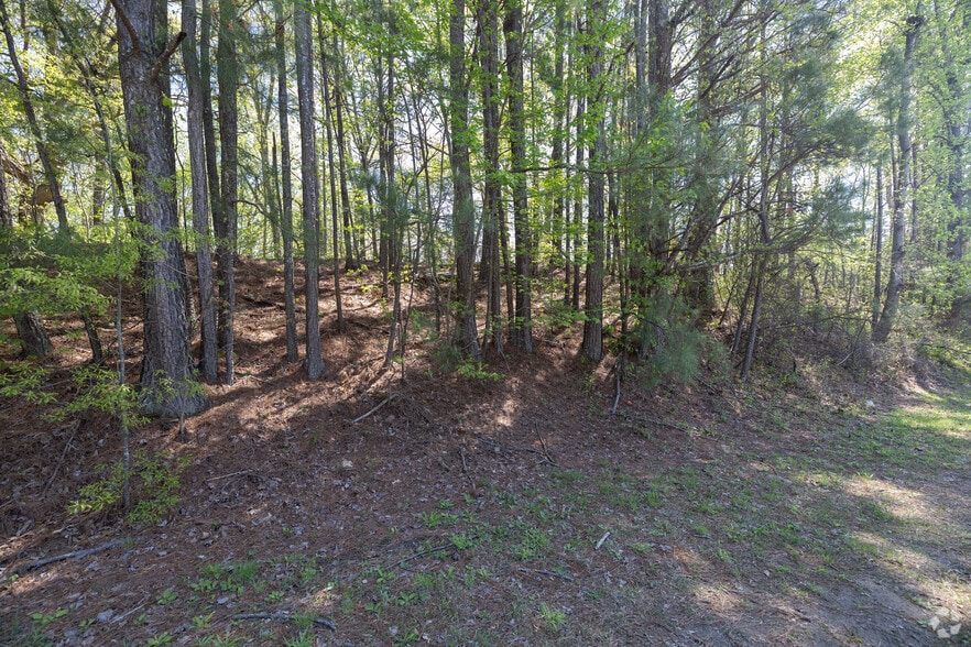 More Photos Of 830 Marietta Hwy, Roswell Land For Sale