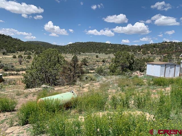 More Photos Of 337 County 4018 rd, Navajo Dam Land For Sale