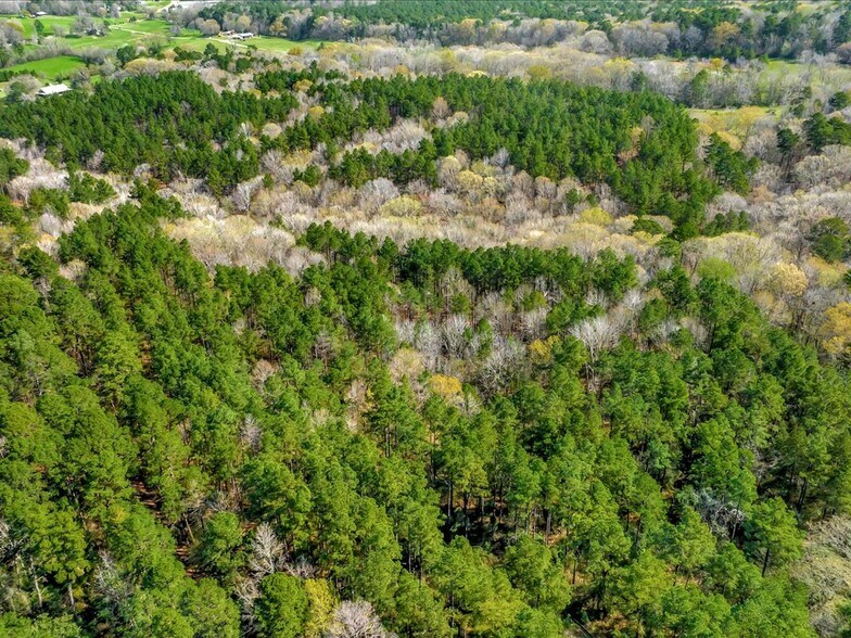 More Photos Of 0 CR 273, Garrison Land For Sale