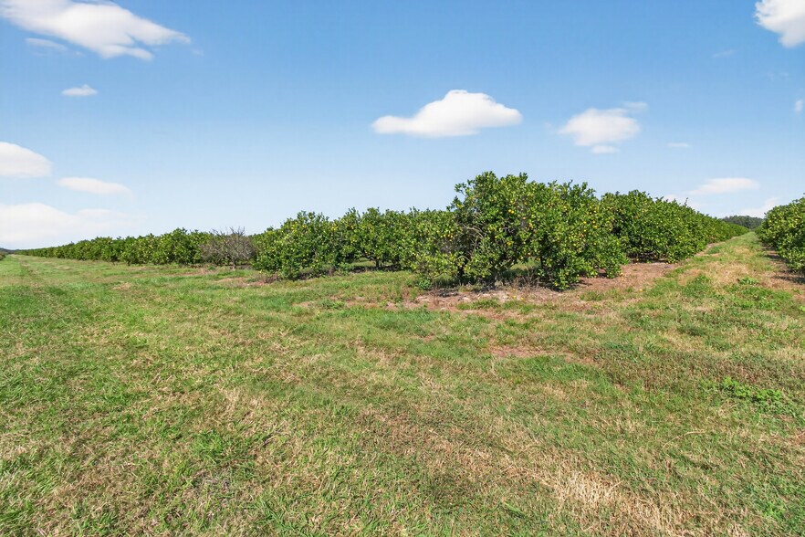 More Photos Of 8476 Ten Mile Grade, Zolfo Springs Land For Sale