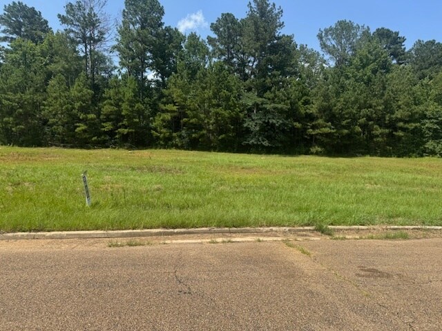 More Photos Of Parklane Rd, Mccomb Land For Sale