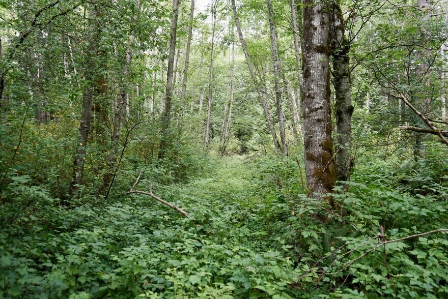 More Photos Of 8610 White Rd, Blaine Land For Sale