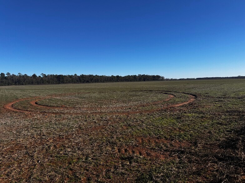 More Photos Of 0 Wiggins Road, Frisco City Land For Sale