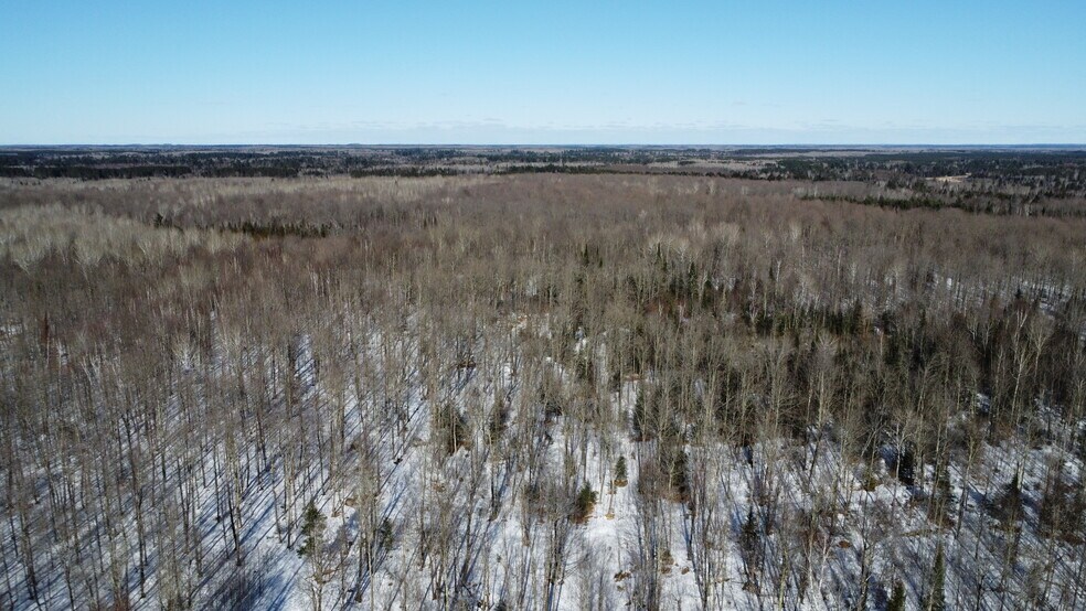 More Photos Of 5451 Pier Lake rd, Tripoli Land For Sale
