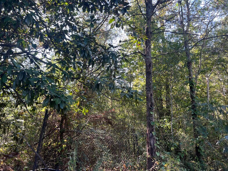More Photos Of 124 S Kelley St, Tallapoosa Land For Sale
