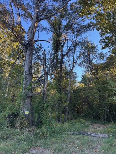 More Photos Of DeSoto Levee Dr, Arkansas City Land For Sale