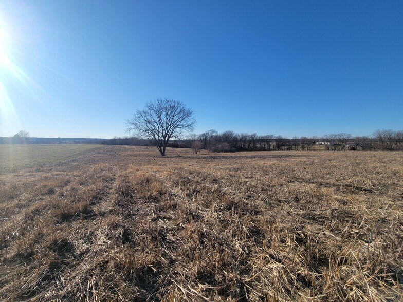 More Photos Of 171 Windy Hill Rd. (20+/- Acres), Elsberry Land For Sale