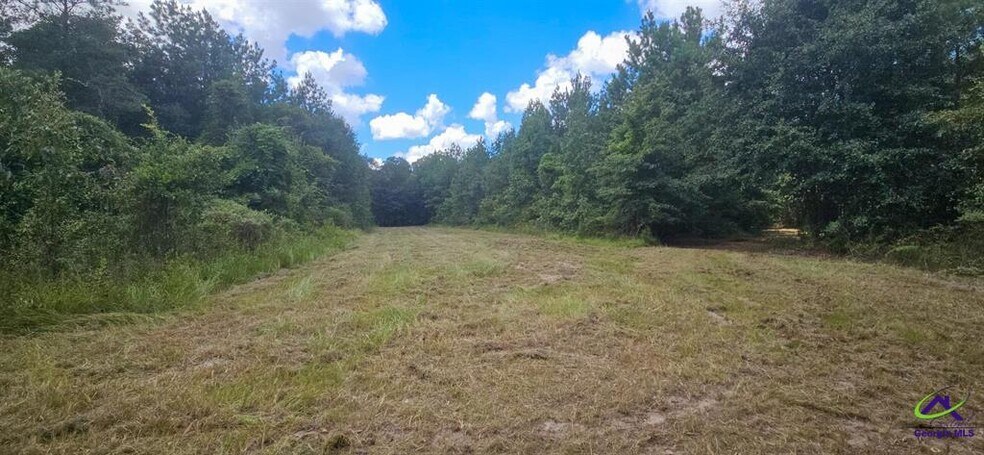 More Photos Of 21.20 Acres Priest Road, Vienna Land For Sale