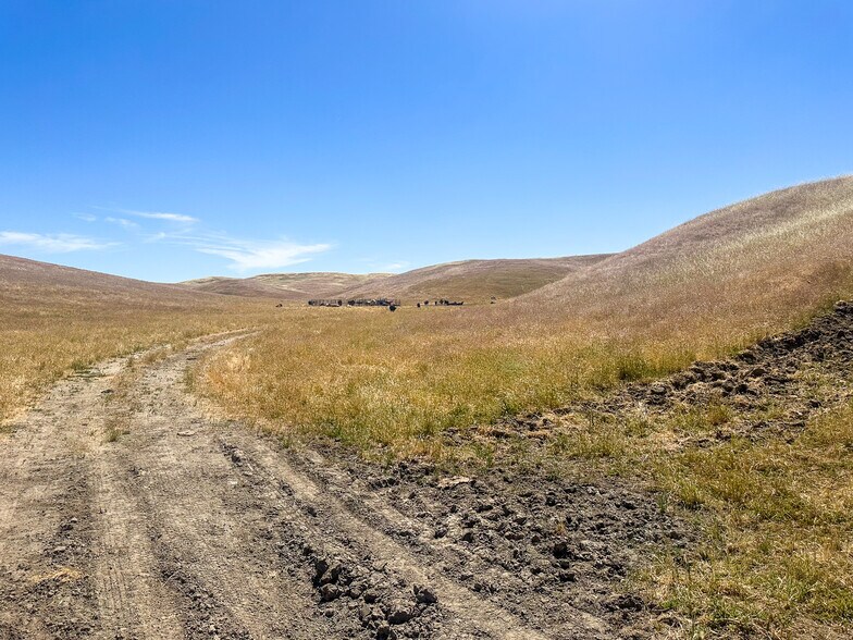 More Photos Of 320.00 +/- Acres of Grazing Land, Mc Farland Land For Sale