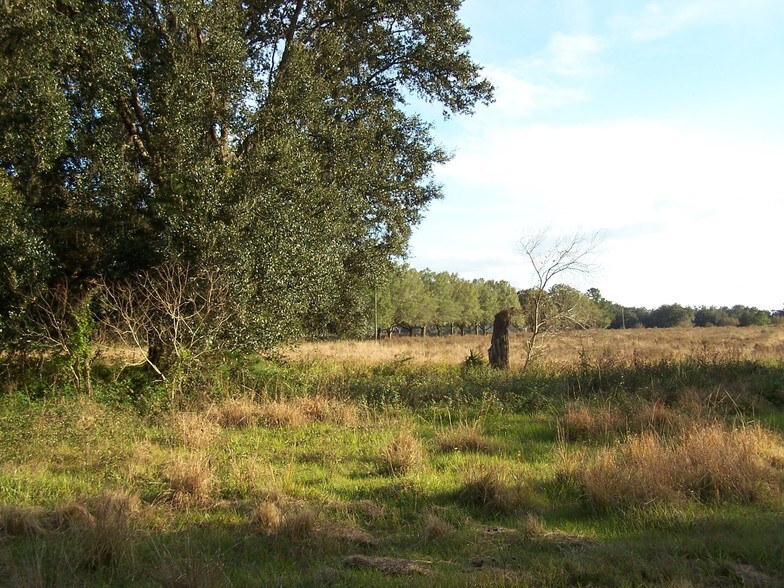 More Photos Of Powell Rd, Brooksville Land For Sale