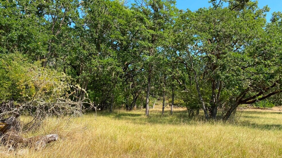 More Photos Of 1219 Junker, Roseburg Land For Sale