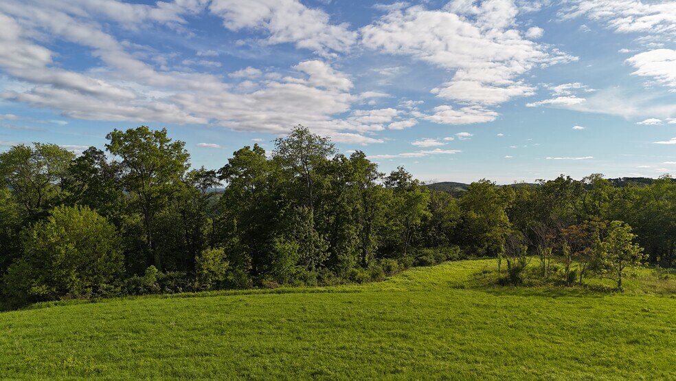 More Photos Of 234 State Line rd, Westtown Land For Sale