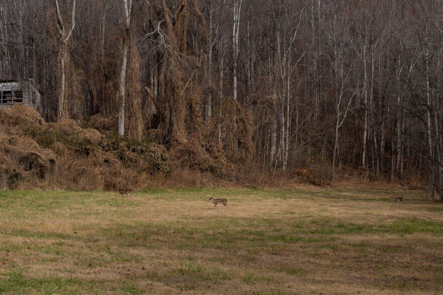 More Photos Of 0 Foothills Rd, Callaway Land For Sale