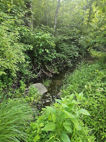 More Photos Of Evergreen Trail, Unionville Land For Sale