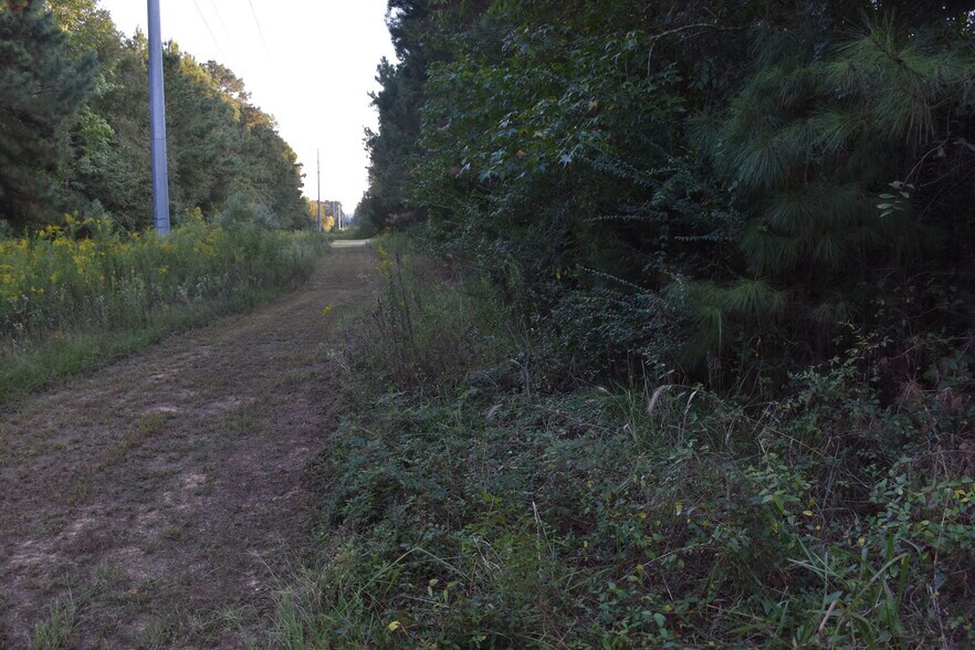 375 County Road 2104, Daingerfield, TX 75638 Schools For Sale