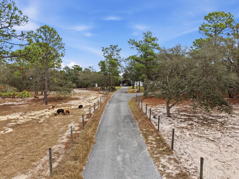 More Photos Of 12124 Squeeze Ave, Brooksville Land For Sale