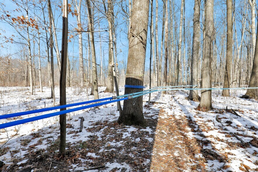 More Photos Of 2503 Butterfield Hwy, Springport Land For Sale