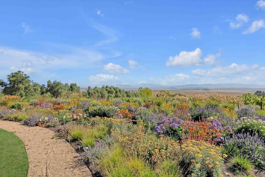 More Photos Of 3001 Sears Point Rd, Sonoma Winery Vineyard For Sale