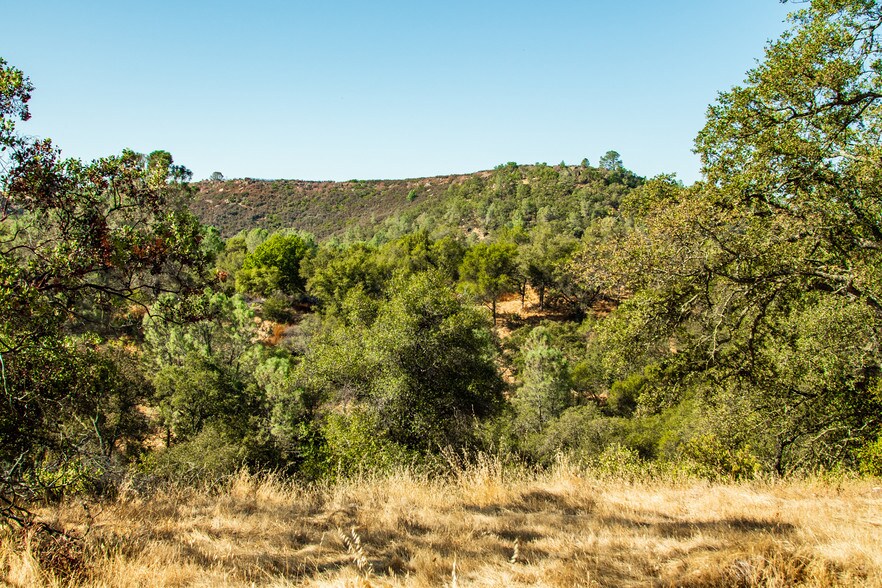More Photos Of 4471 Buena Vista Rd, Ione Land For Sale