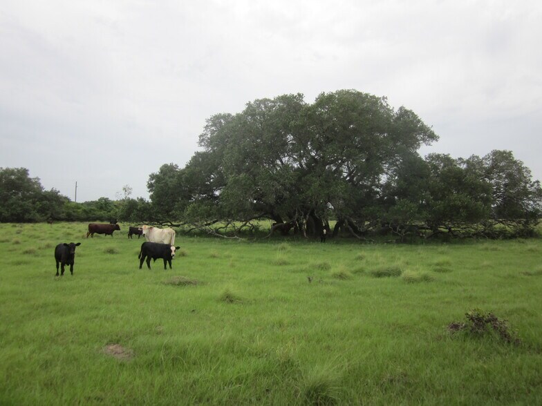 More Photos Of 3671 W Fm 1093 Rd, Wallis Land For Sale