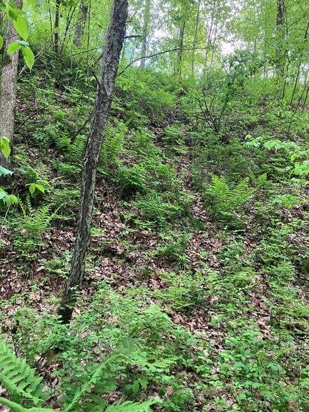 More Photos Of N3739 Bear Pen Rd, Arkansaw Land For Sale