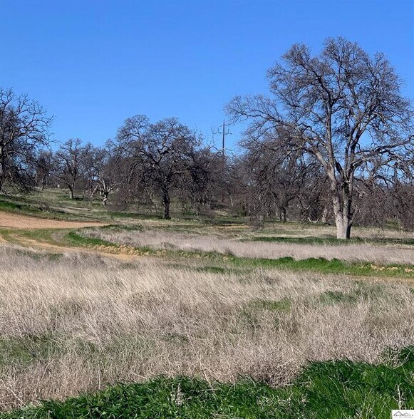 More Photos Of Monroe Ave @ Highway 36W, Red Bluff Land For Sale