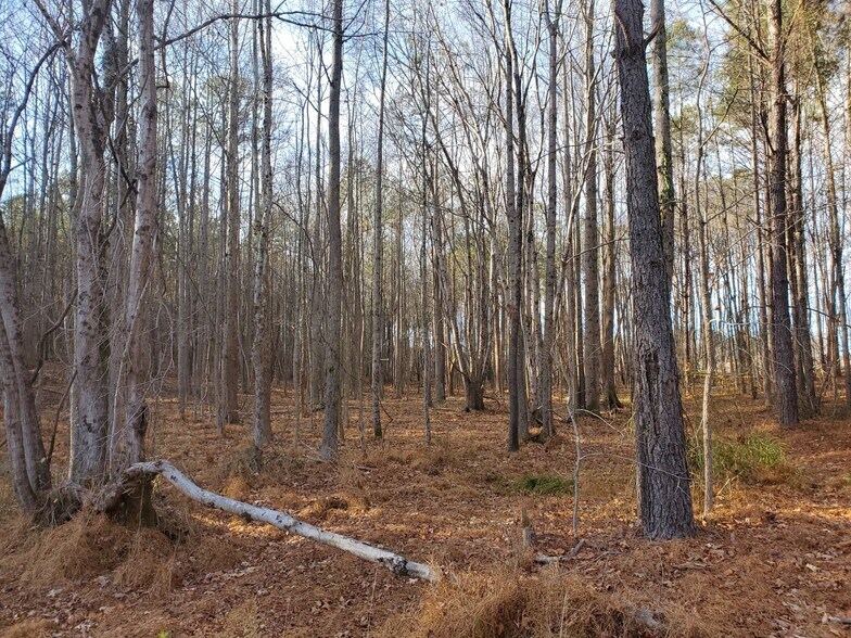 More Photos Of 00 Martin Pond, Wendell Land For Sale