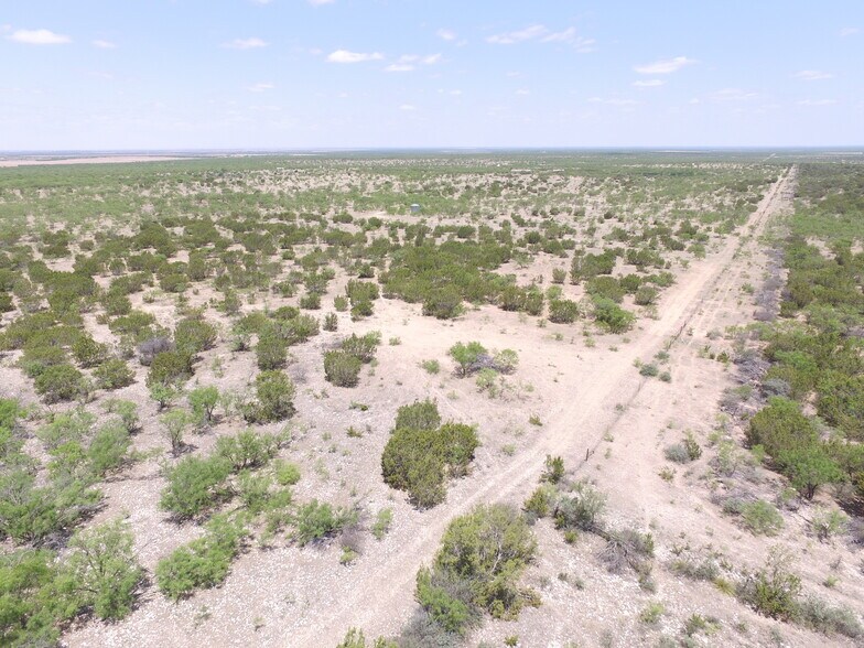 More Photos Of CR 1329, Paint Rock Land For Sale