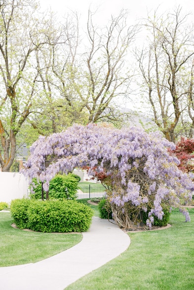 More Photos Of 197 E 500 S, Bountiful Schools For Sale