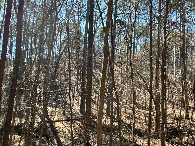 More Photos Of 3472 Prior Station Rd, Cedartown Land For Sale