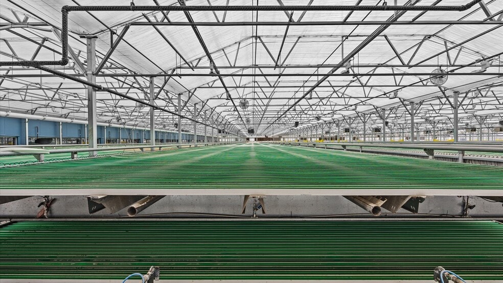 More Photos Of 584 County Road 331, Silt Distribution For Sale