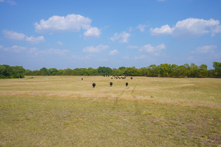 More Photos Of TBD 40 Acres Highway 69 Bells Texas 75414, Bells Land For Sale