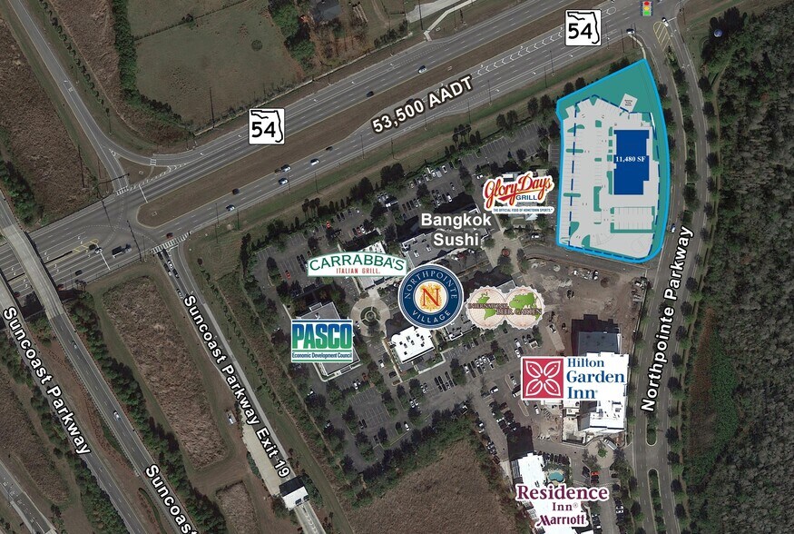 More Photos Of 16611 Pointe Village Dr, Lutz Freestanding For Lease