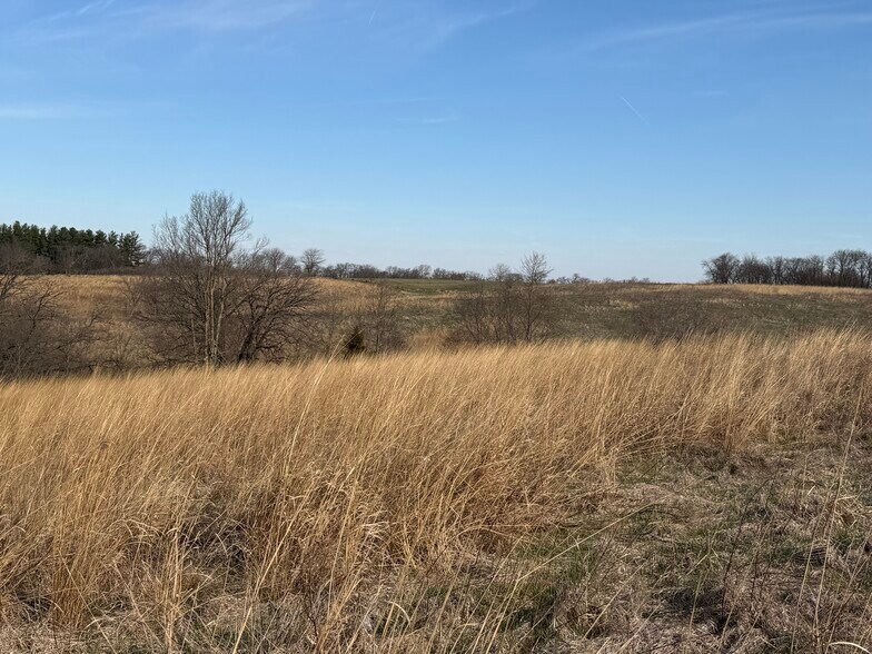 More Photos Of 23962 155th St, Columbus Junction Land For Sale