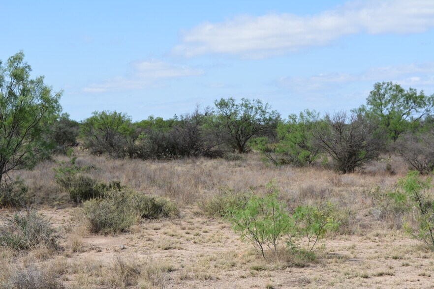 More Photos Of CR 1329, Paint Rock Land For Sale