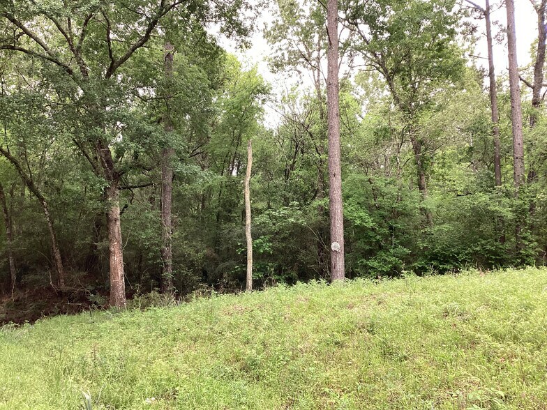More Photos Of 0 County Road 4876, Dayton Land For Sale