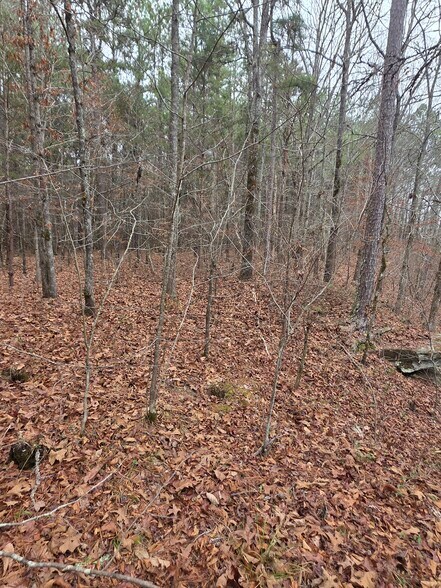 More Photos Of 221 East Lane Ln, Oneonta Land For Sale