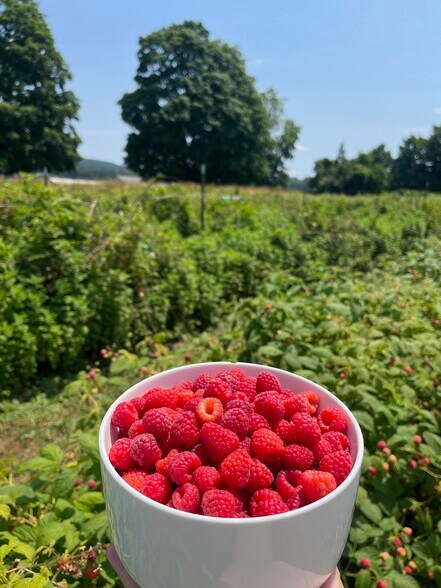 More Photos Of 280-300 Matson Hill Rd, South Glastonbury Land For Sale