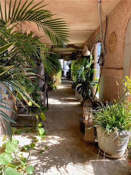 More Photos Of 691 Desert Trail Way, Tecopa Winery Vineyard For Sale
