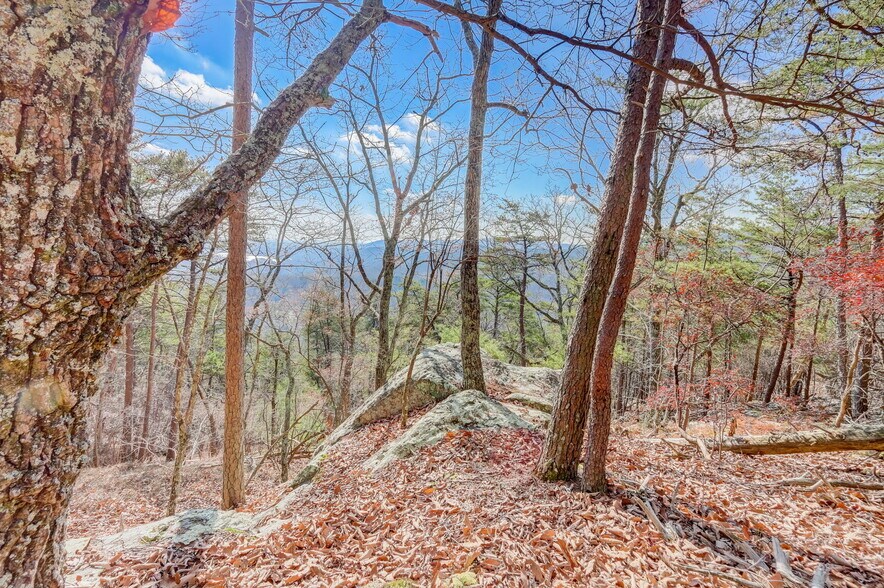 More Photos Of 1915 Tower Trl, Waleska Land For Sale