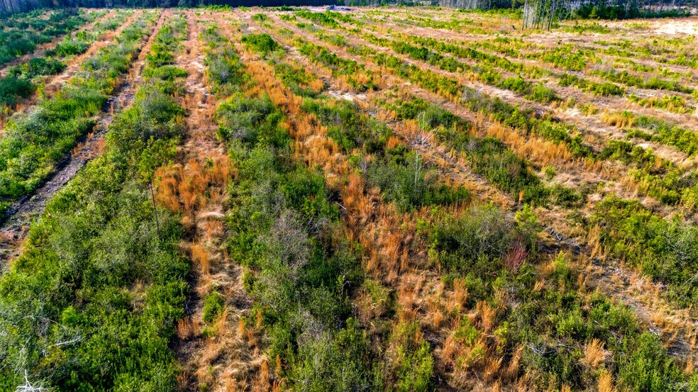 More Photos Of Highway 45, Loris Land For Sale